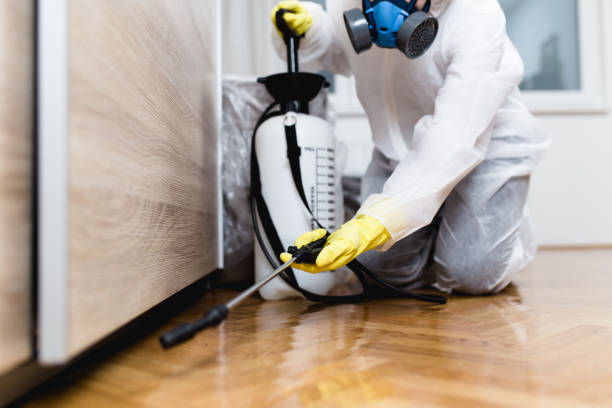 Best Best Pest Control Companies  in Dover, FL