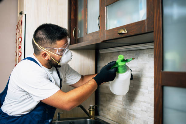 Pest Control Cost in Dover, FL