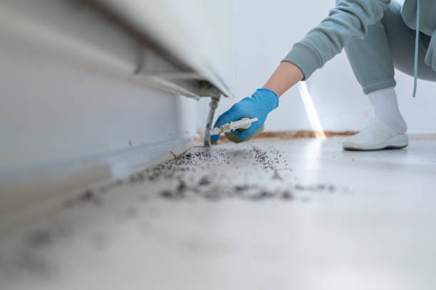 Dover, FL Pest Control Company